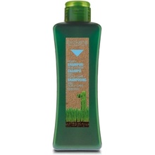 Salerm Biokera Scalp Care šampon pro citlivou pokožku 300 ml