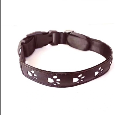 Reedog dobíjecí svítící obojek TLAPKY
