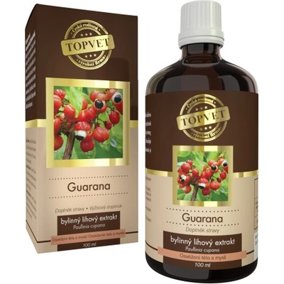 Green idea Guarana extrakt 100 ml