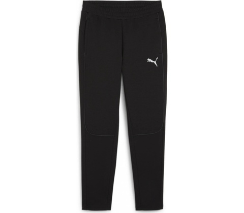 Puma, Team Final čierna