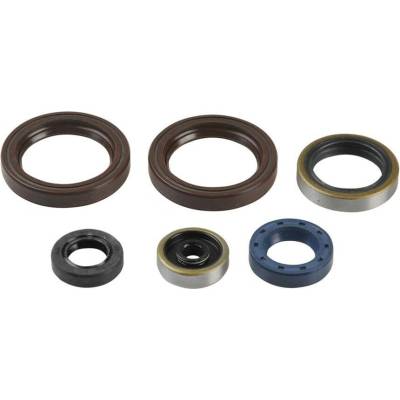 Sada gufer motoru ATHENA P400270400015