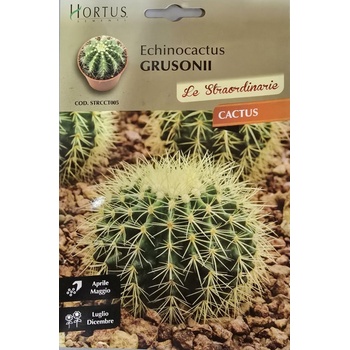 Hortus Кактус Ехинокактус (Echinocactus grusonii)
