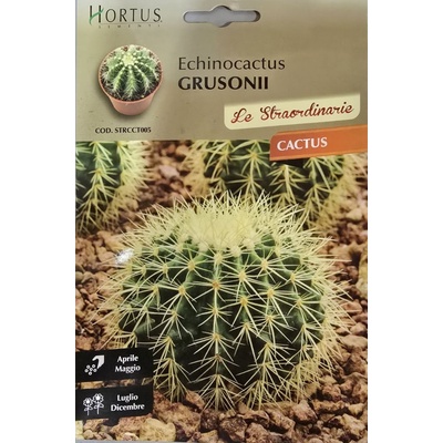 Hortus Кактус Ехинокактус (Echinocactus grusonii)