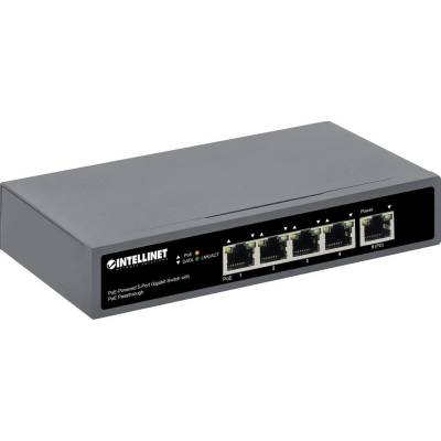 Intellinet 561808