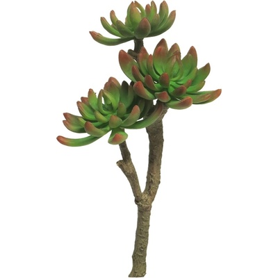 Sukulent větev x3 zelený V32 cm