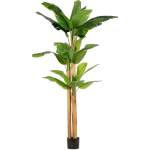 Bizzotto ИЗКУСТВЕНО РАСТЕНИЕ В САКСИЯ banana 280cm (0172969)