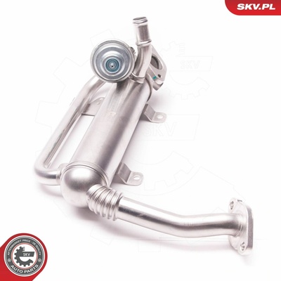 AGR - Ventil ESEN SKV 14SKV118