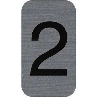 Informačná tabuľka, samolepiaca, 2,5x4,4 cm, hliníkový vzhľad, EXACOMPTA, č. 2