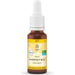 Lemon Pharma Chestnut Bud Цветна есенция N°7, 20 ml, Lemon Pharma (181076 LP)