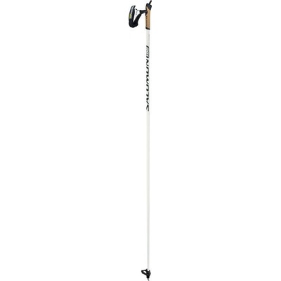 Salomon Equipe 100 carbon 2012/13