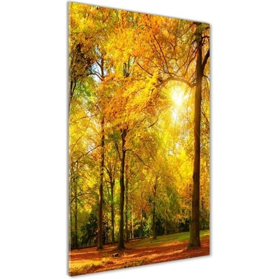 Vertikálny fotoobraz na skle Les na jeseň 50x100 cm