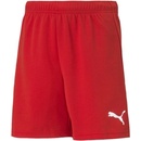 Puma teamRISE short jr 704943