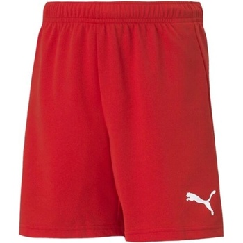 Puma teamRISE short jr 704943
