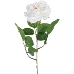 Ixia Изкуствено цвете (височина 43 cm) Rose - Ixia (604052)