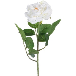 Ixia Изкуствено цвете (височина 43 cm) Rose - Ixia (604052)