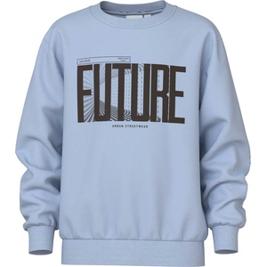 NAME IT Блуза nkmvildar ls nreg sweat bru (351834927275)