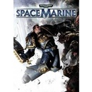 THQ Warhammer 40,000 Space Marine Golden Relic Bolter DLC (PC)