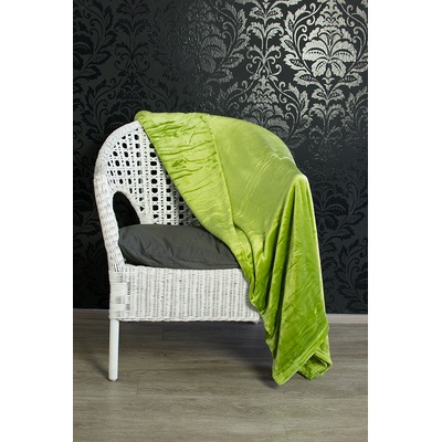 TP Mikro flanel deka Premium Zelená 150x200