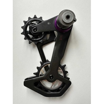 Sram Cage Assembly