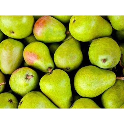 Zeelandia Ovocná náplň Hruškový gél 1 kg