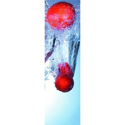 Záložka Fruits in Motion