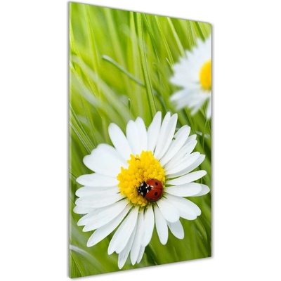 Vertikálny fotoobraz na skle Sedmokrásky 50x100 cm