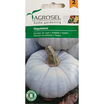 Image 1 of Agrosel Тиква Nagydobosi (светло сива кора)