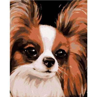 zuty Malování Podle Čísel Papillon Myroslava Voloschuk 40 x 50 Cm Plátno Rám