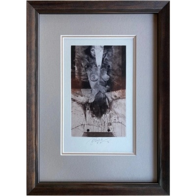 Brázda Jiří - Dvě tváře | 27.5x37.0