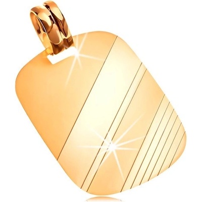 Šperky Eshop Přívěsek ze žlutého 14K zlata obdélníková známka s lesklými a matnými pásy S2GG204.08
