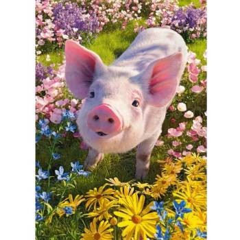 Image 1 of Cherry Pazzi - Puzzle Do You Love Me? - 500 piese