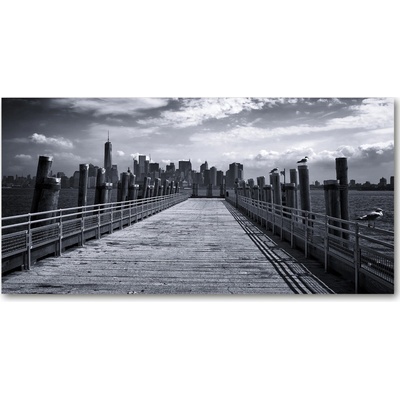 Fotoobraz na skle New York panoráma 100x50 cm
