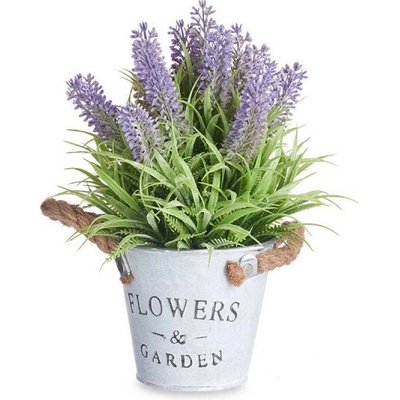 Levandula v kvetináči 25 cm