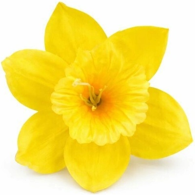 Umelý narcis žltý 12 cm
