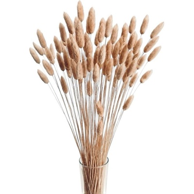 Sušený lagurus (králičí ocásek) přírodní 45g