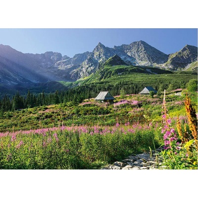Cherry Pazzi - Puzzle Gąsienicowa dolina, Vysoké Tatry - 1 000 piese