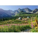 Cherry Pazzi - Puzzle Gąsienicowa dolina, Vysoké Tatry - 1 000 piese