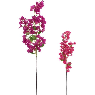 KONÁR BUGENVILEA MIX/2F 110CM