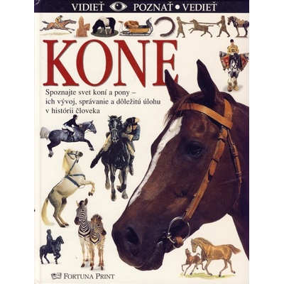 Kone -vidieť, poznať, vedieť
