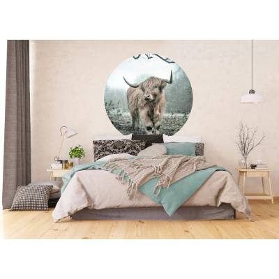 AG Design CR3329 Samolepicí vliesová fototapeta Skot, rozměry 140 x 140 cm