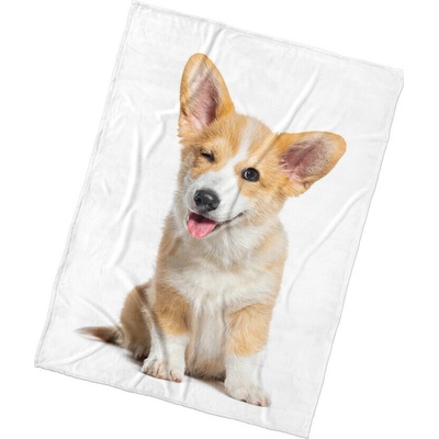 BedTex Deka mikroplyš Psie Veličenstvo 150x200