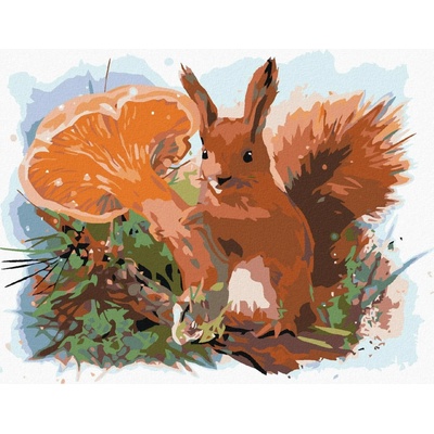 zuty Veverka 50 x 40 cm vypnuté plátno na rám 8596530048299