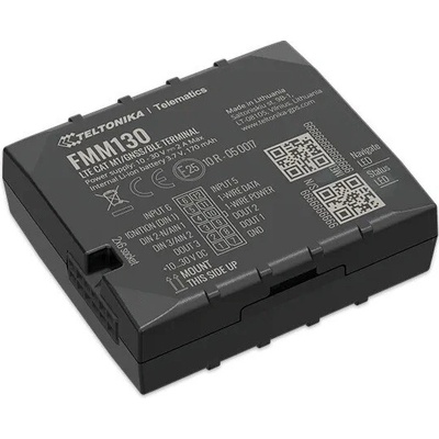 Teltonika FMM1306VXW01