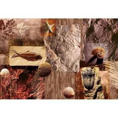Preinterier FT0141 Fototapeta na stenu Mozaika skamenelin vlies 104cm x 70cm