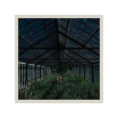 Foxing - Dealer LP