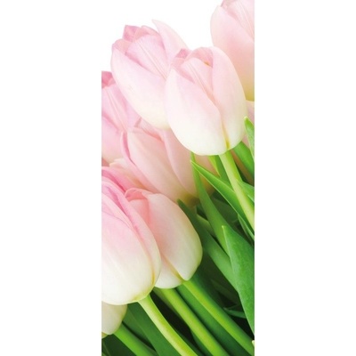 Preinterier DV0033 Fototapeta na stenu Tulipány vlies 91cm x 211cm