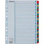 ESSELTE Регистър ESSELTE Mylar A/4 ламиниран картон 1-31 100164 (100164)