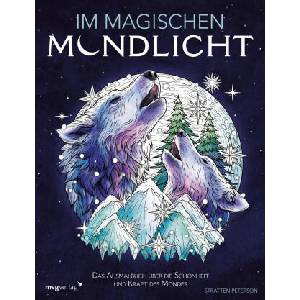 Im magischen Mondlicht (ISBN: 9783747407455)