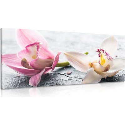 Obraz květiny orchideje - 120x60
