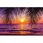 DIMEX ART Флизелинов фототапет красив здрач 375 x 250 см